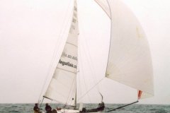 040_demicle04